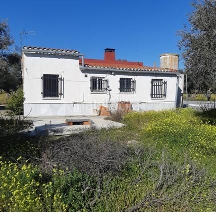 Foto a37aa060-9899-4b97-9564-94151d7f58b9. Xalet amb aparcament piscina a Centro Illescas