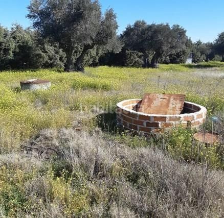 Foto bafdd98a-0c38-414e-8423-03a5bc6ab46e. Xalet amb aparcament piscina a Centro Illescas