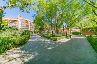 Dplex  Sector sector descubridores