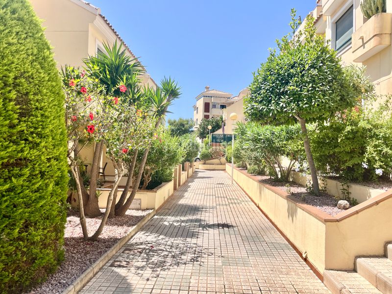 Foto e71c8a18-9959-459d-840b-429bbf825890. Apartamento en avenida de ibiza 7 ***apartamento en planta baja junto al golf campoamor con piscina y terraza*** en Orihuela