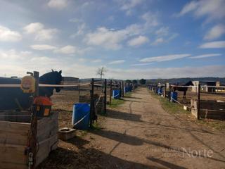 Casa  N/a. Venta de finca ganadera con casa en fuente el saz madrid