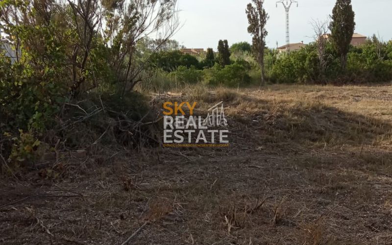 Foto 1b6be76d-b6f8-4bb0-8045-3c470d78c587. Terreny residencial a Oliva nova Oliva