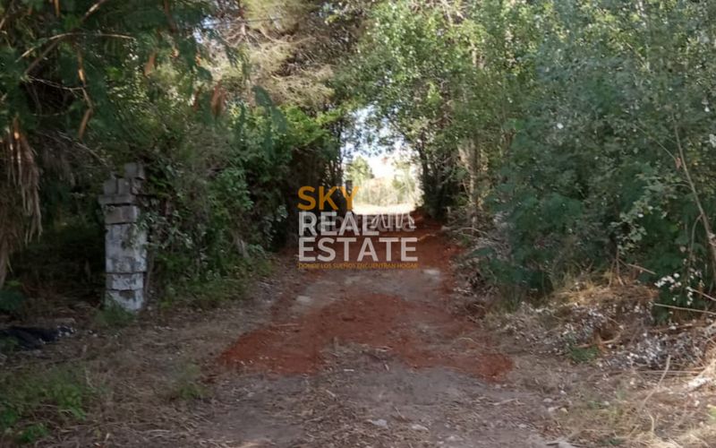 Foto 3ad005b7-1727-46d9-ad50-1d81f42416bc. Terreny residencial a Oliva nova Oliva