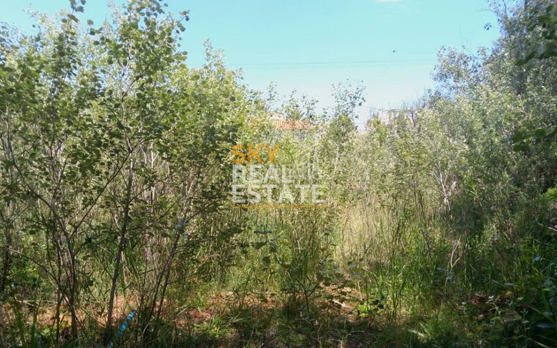 Foto 8ece64f9-8fcb-4af8-8d35-d452df6789b3. Terreny residencial a Oliva nova Oliva