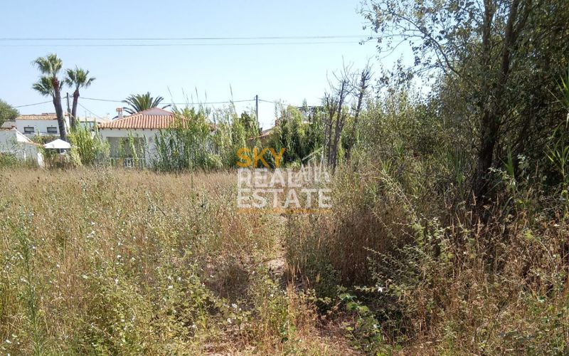 Foto d606ebe0-0e16-49a3-bf73-5274737b0ded. Terreny residencial a Oliva nova Oliva