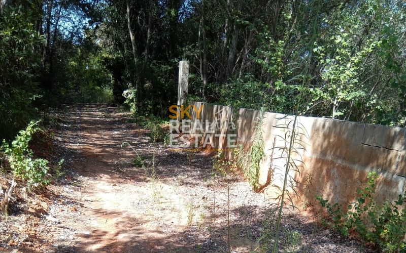 Foto e9c76268-1376-4e45-a859-938e37db5db0. Terreny residencial a Oliva nova Oliva