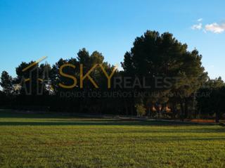 Rural plot  Carrer de ses escoles. Finca rústica con casa en palma de mallorca - oportunidad de inv