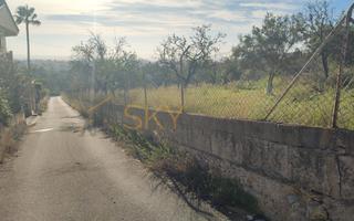 Propriété  Diseminado poligono 9. Finca rústica en inca: naturaleza y tranquilidad asegurada