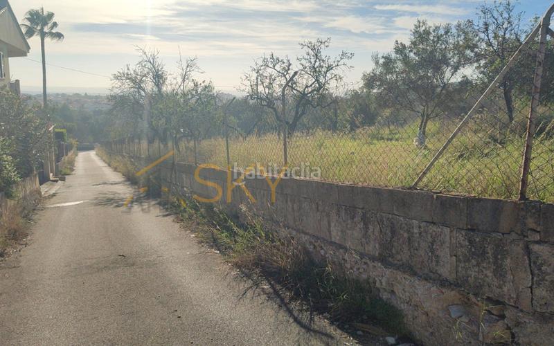 Foto 16c6cbdb-dde7-423e-b47c-d3906069ac86. FInca rústica a Zona Periurbana Inca