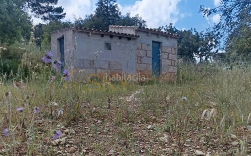 Foto acdb157e-7865-4a4a-931b-a644dc1aeebb. FInca rústica a Zona Periurbana Inca