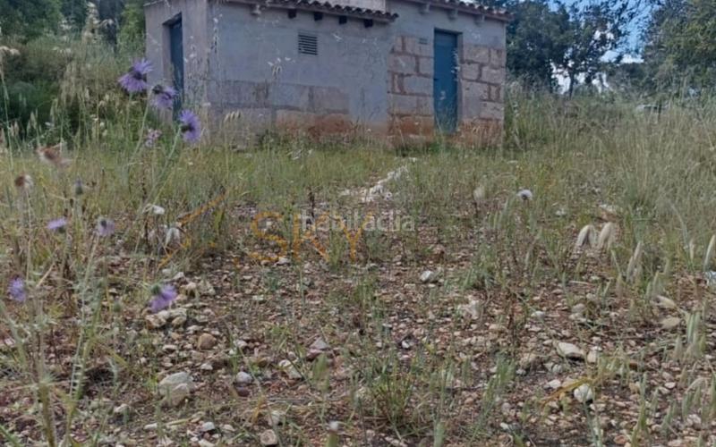 Foto eddc1103-37e1-4da6-a2e5-dfe574418632. FInca rústica a Zona Periurbana Inca