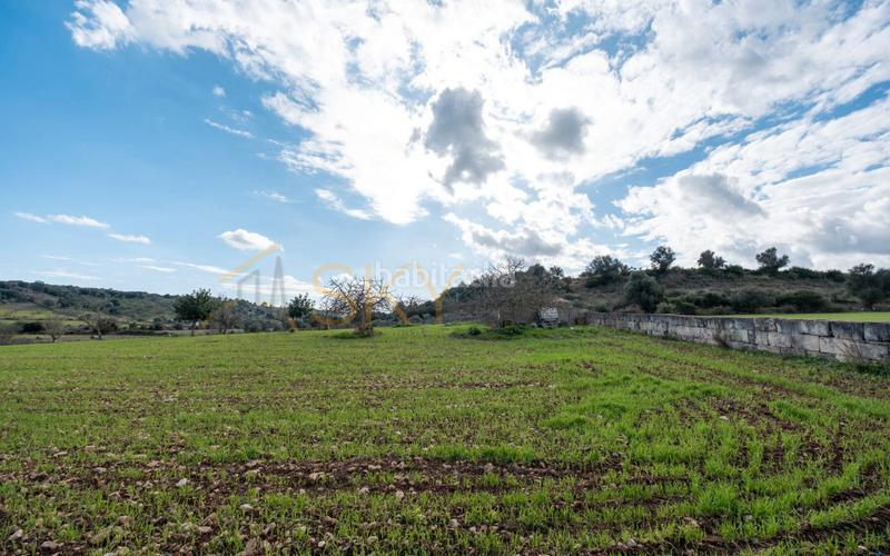 Foto 033a3be3-114e-4bb7-a27a-13e039f64063. Rural plot in Ariany