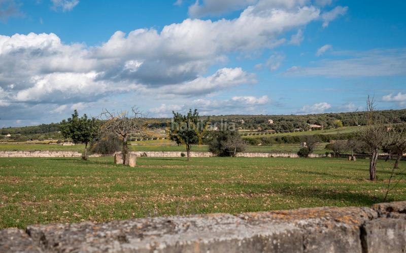 Foto 07d88813-263b-4efc-8a77-aac85f589e9b. Rural plot in Ariany