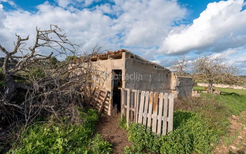 Foto 257c5a0e-a7d0-41af-9655-3ed3b4ebbb06. Rural plot in Ariany