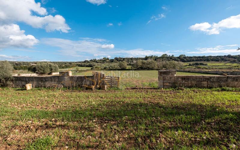 Foto 2e254ff0-0a9b-4879-9a4a-0f6d846dc2bb. Rural plot in Ariany