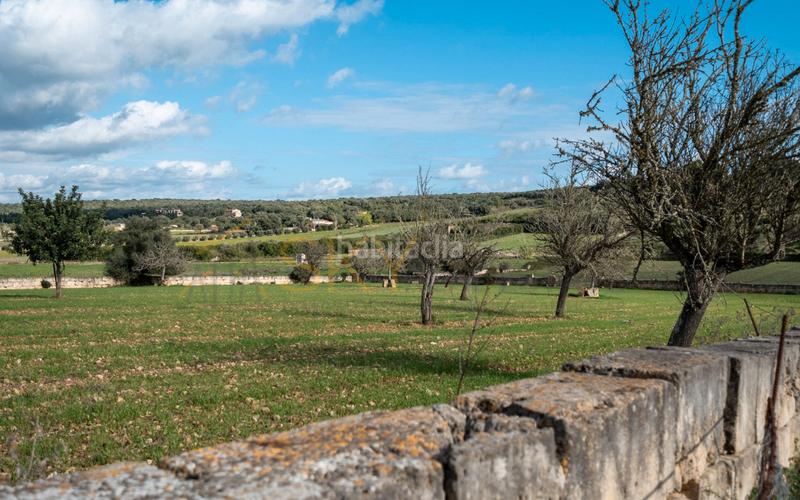 Foto 3a9edc7f-5175-4744-ab8f-2db23786e102. Rural plot in Ariany