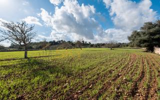 Finca rústica  Carrer unió. Terreno exclusivo en ariany
