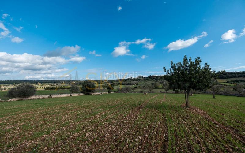 Foto b58e7497-c84f-4b7a-be5e-c2aedc0b6e8b. Rural plot in Ariany