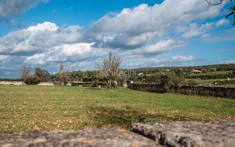 Foto b5918bc2-f226-4416-aa2e-61a72a526cc0. Rural plot in Ariany