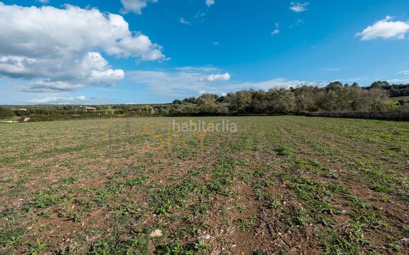 Foto b94d9bc9-e9c0-4b90-b6c3-01abaa4ed4b1. Rural plot in Ariany