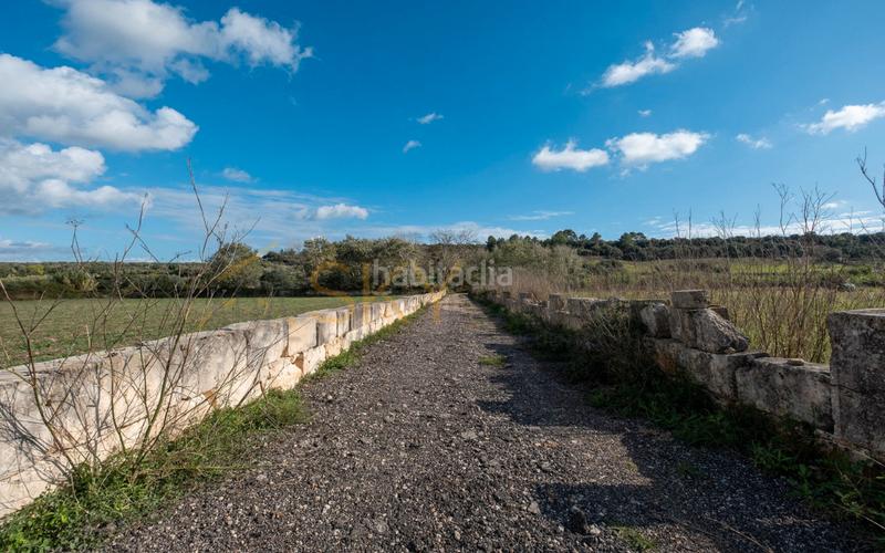 Foto c78817c8-55a4-4a05-b20b-d5c2626488da. Rural plot in Ariany