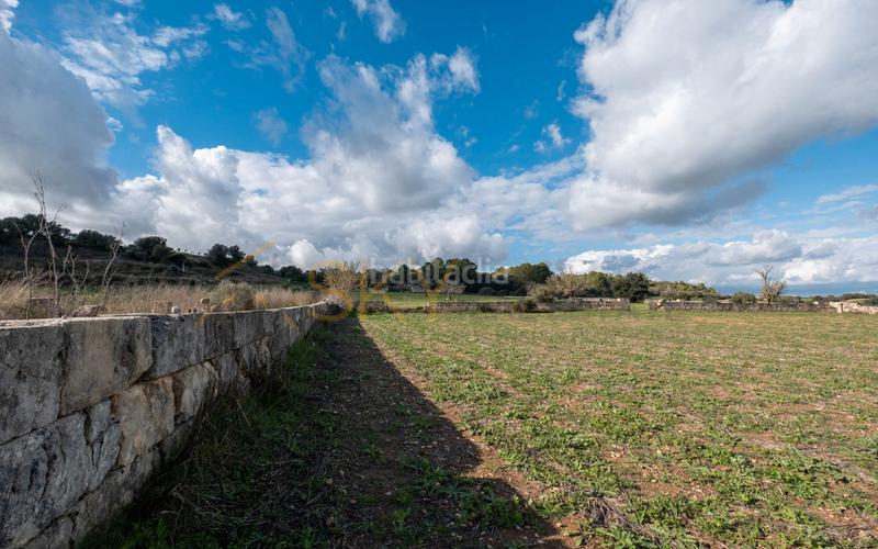 Foto f139b4b9-9167-49e1-9810-df8f7521b457. Rural plot in Ariany