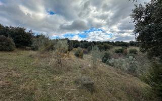 Rural plot  Calle valsequillo 4. Terreno rústico en robledo de chavela