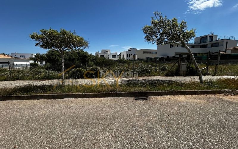 Foto 11428a83-e086-419e-8272-b87526678eb9. Terreny residencial a Maioris-Puig de Ros Llucmajor