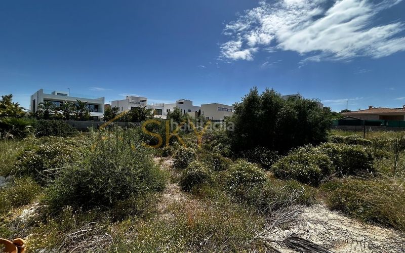 Foto 1eccd904-145c-4e95-8a9d-0ecb9af6c5ee. Terreny residencial a Maioris-Puig de Ros Llucmajor