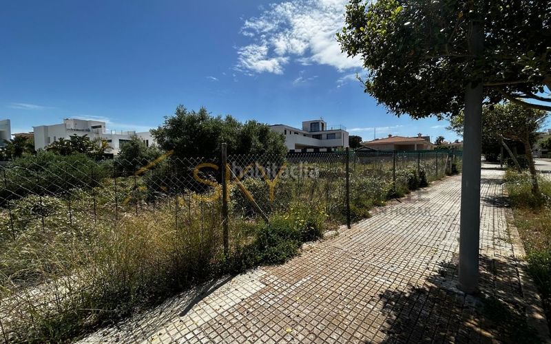 Foto 69d81efe-f19f-42c9-8b6d-70085eba7455. Terreny residencial a Maioris-Puig de Ros Llucmajor