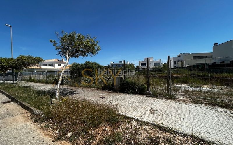 Foto db604840-c246-4665-83da-b58502c63302. Terreny residencial a Maioris-Puig de Ros Llucmajor