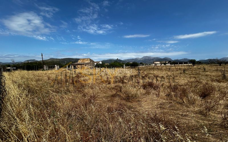 Foto 139a7d4d-ab70-4c58-82de-8e8c83d17865. FInca rústica en Es Blanquer Inca
