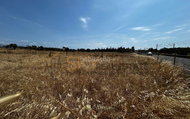 Foto c22f3650-8d24-465c-ab13-7cf914163fb3. FInca rústica en Es Blanquer Inca