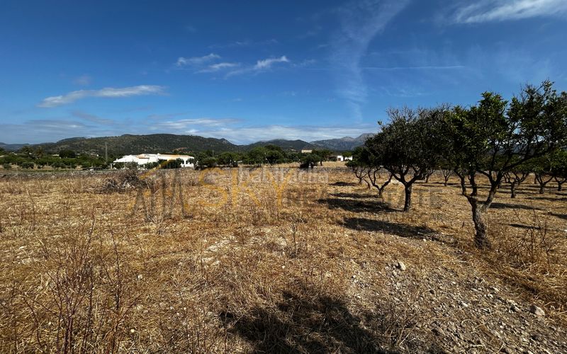 Foto 455aef61-b0a5-4c1a-8c04-9c6e8876b84d. FInca rústica a diseminado poligono 9 278 a Es Blanquer Inca