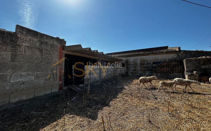 Foto 565e40b1-1679-4f6d-a010-2a648101e0dc. FInca rústica a diseminado poligono 9 278 a Es Blanquer Inca