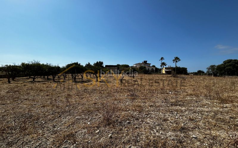 Foto 98f00e1f-7ca8-405c-933a-c753b7bbaf02. FInca rústica a diseminado poligono 9 278 a Es Blanquer Inca