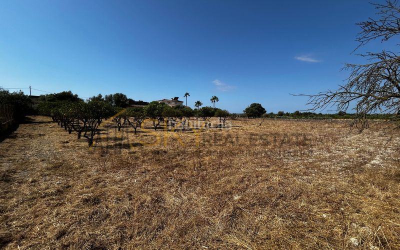 Foto a4255870-24a9-413d-82c1-1056eaeea6de. FInca rústica a diseminado poligono 9 278 a Es Blanquer Inca