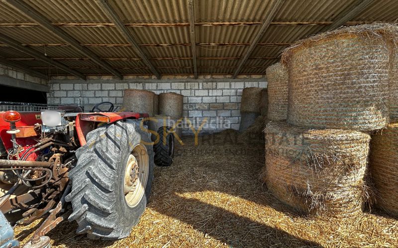 Foto ac65e99a-7e4f-4714-9180-df667e6c190c. FInca rústica a diseminado poligono 9 278 a Es Blanquer Inca