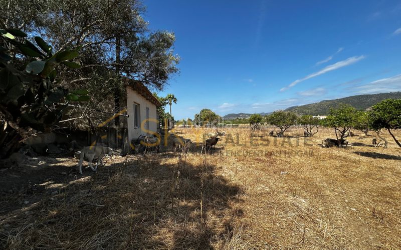 Foto b5f7c097-3d1f-427a-b4df-3f440cd1c2fd. FInca rústica a diseminado poligono 9 278 a Es Blanquer Inca