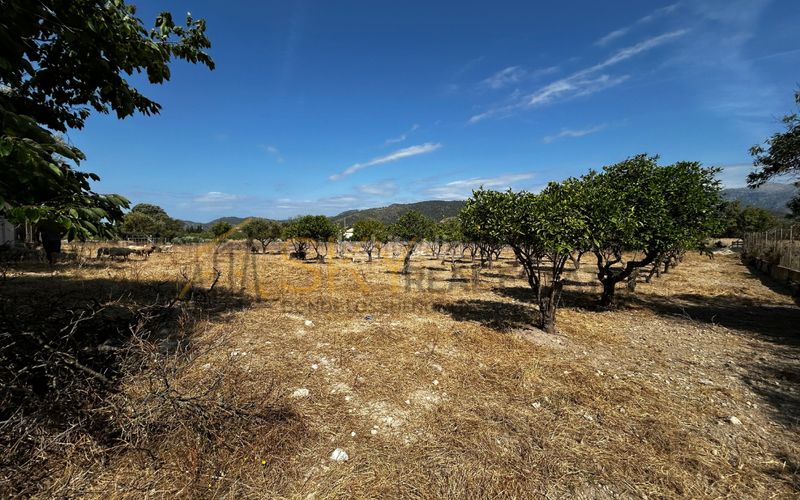 Foto ccd67e05-3542-436d-b7c1-5150ebd926b3. FInca rústica a diseminado poligono 9 278 a Es Blanquer Inca