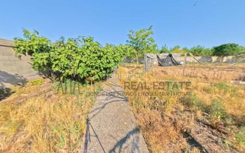 Foto 40f0e73d-9a98-4c06-aedb-719350a8c76a. Finca rústica a Santa Isabel Zaragoza