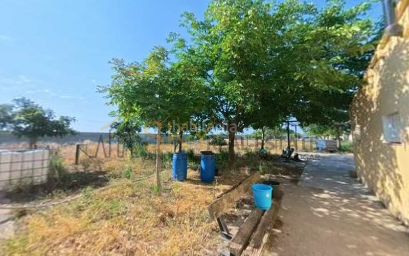 Foto 9d39e686-76b5-4c76-92ee-cf89bf1f7577. Finca rústica a Santa Isabel Zaragoza