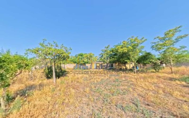 Foto c26692ea-6be0-46f3-a654-5ed2df2346c2. Finca rústica a Santa Isabel Zaragoza