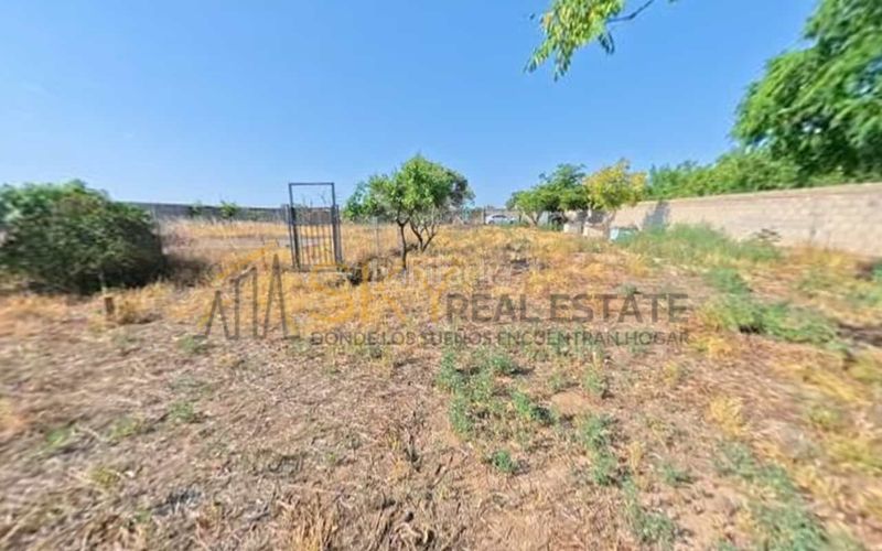 Foto caad8f73-2425-431c-ac75-cb4623831a2f. Finca rústica a Santa Isabel Zaragoza