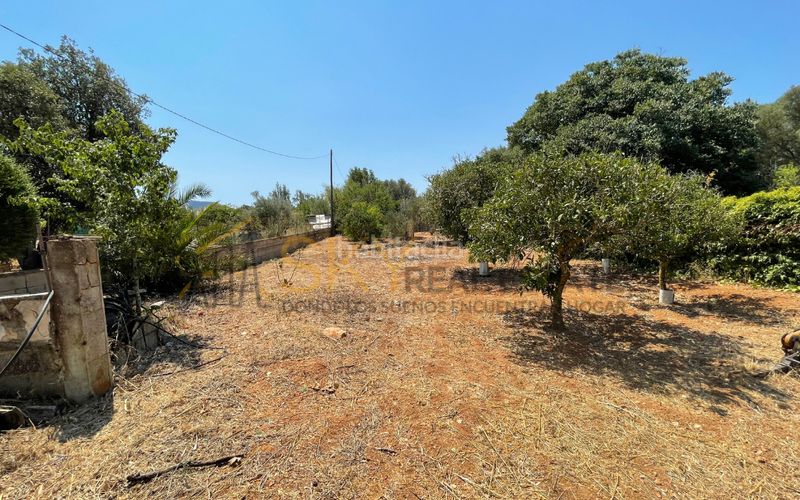 Foto 05f88377-87e5-41de-a56e-b695270d9e38. Finca rústica a n/a a Algaida
