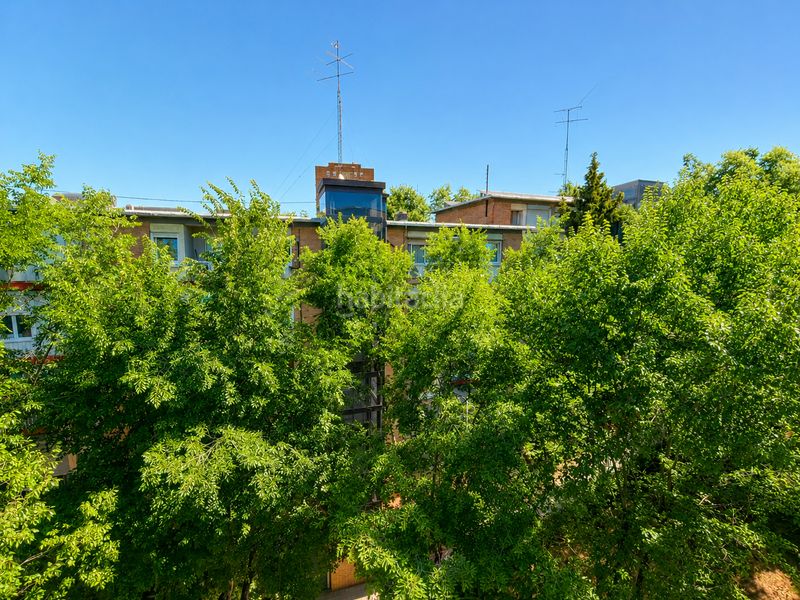 Foto 06c89f92-5866-402e-a02e-6db1ea3e9363. Piso en Media Legua Madrid