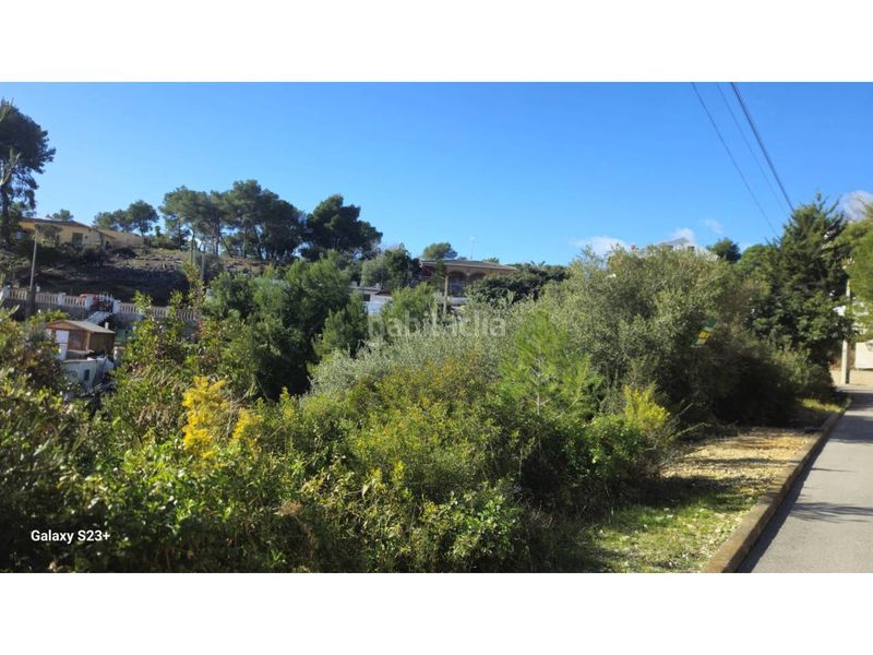 Foto 5680175e-b843-4720-a387-fbb37e4f3e59. Finca rústica a calle van gogh 2 a Mas Trader-Corral d´En Tort-Corral d´En Cona Cubelles