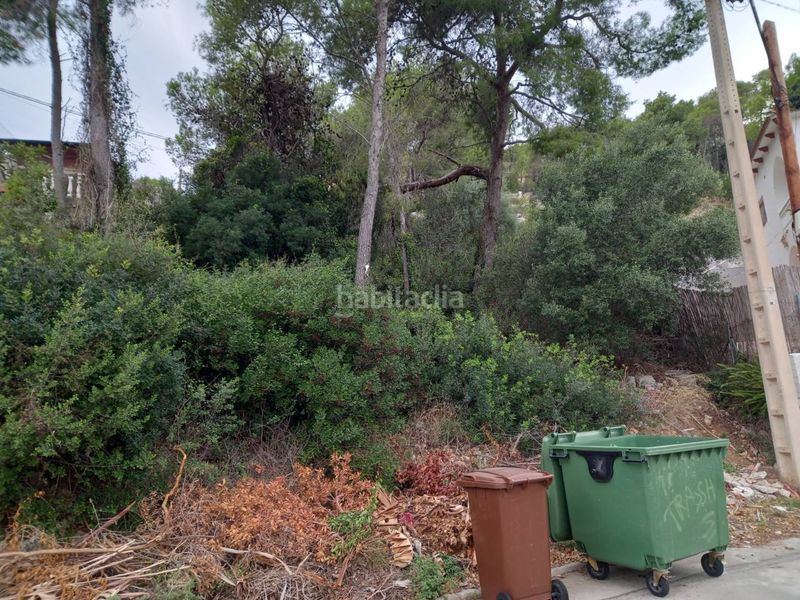 Foto 14702624-1fe9-44e7-b65a-45acd8f34d7a. Finca rústica a calle velazquez 33 a Mas Trader-Corral d´En Tort-Corral d´En Cona Cubelles