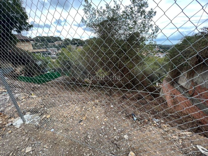 Foto 07b82c22-c287-4932-b98c-d6fb79b5bca0. Finca rústica a calle velazquez 24 a Mas Trader-Corral d´En Tort-Corral d´En Cona Cubelles