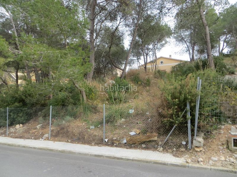 Foto 0fe365ec-240f-44f7-894c-484ed1131139. Finca rústica a calle goya 69 a Mas Trader-Corral d´En Tort-Corral d´En Cona Cubelles